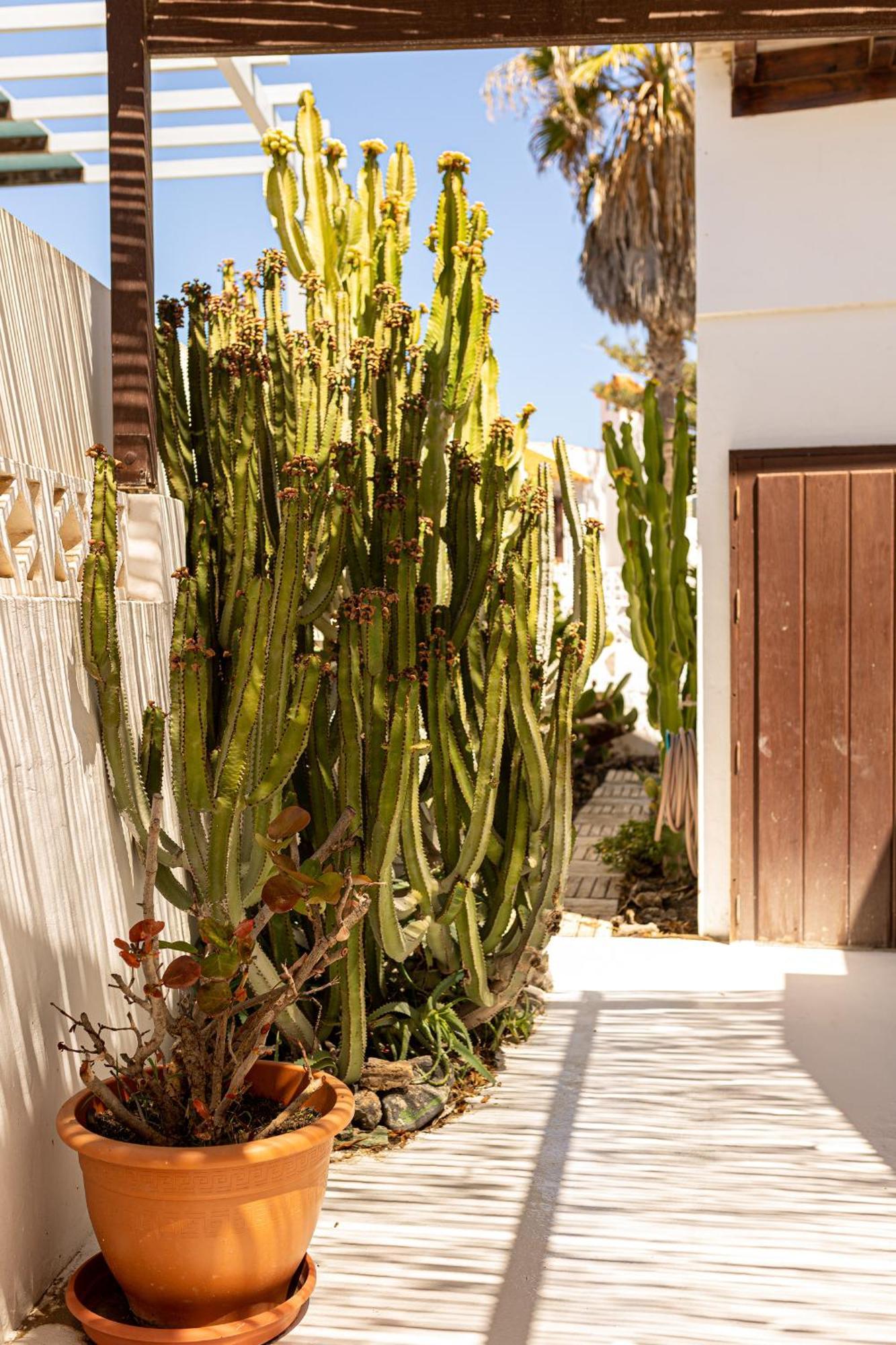 El Piloto By Best Holidays Fuerteventura Corralejo Exterior foto